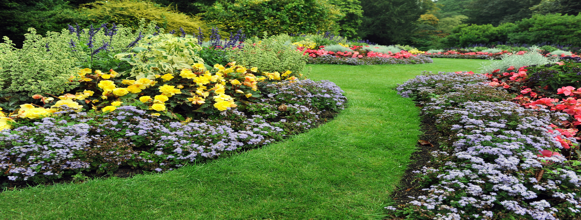 Your lawn and landscape
the way that it should